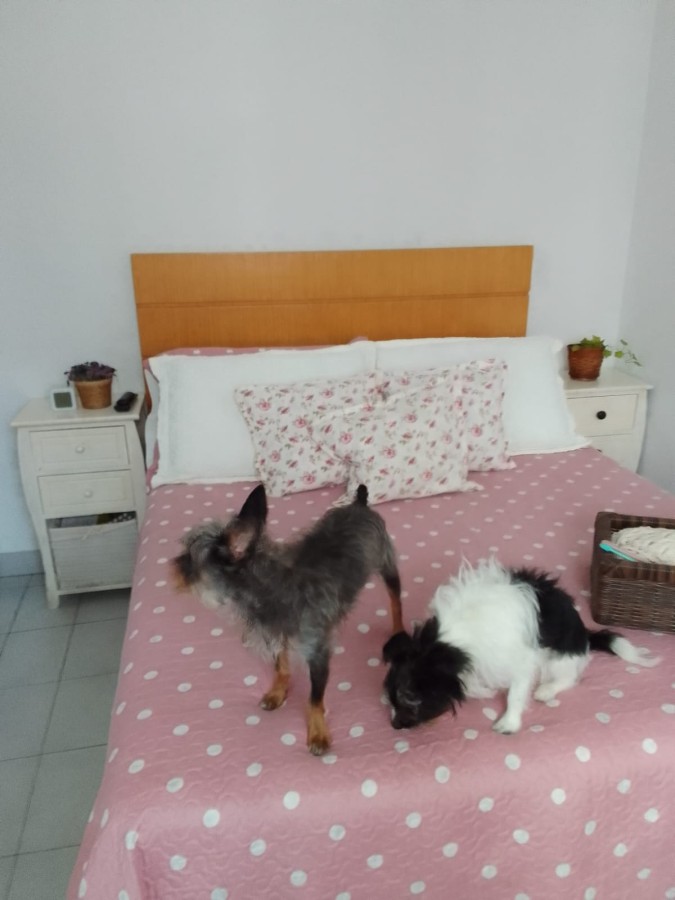 Apartamento com 2 quartos e 56 m² em Vila Guilhermina, Praia Grande