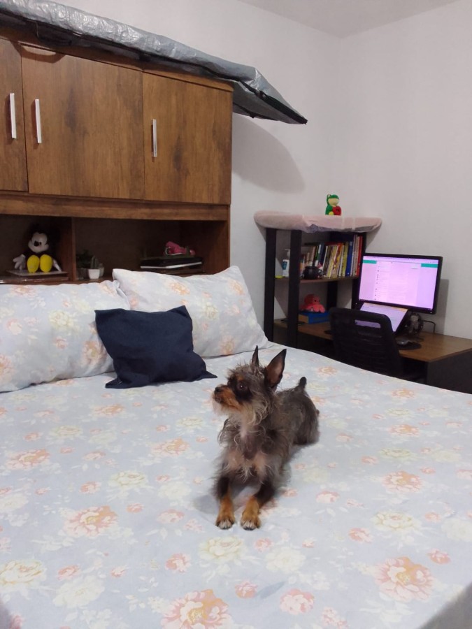 Apartamento com 2 quartos e 56 m² em Vila Guilhermina, Praia Grande